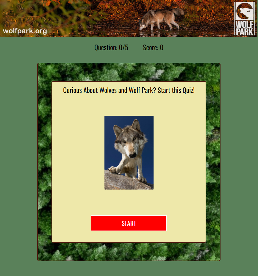 Start Wolf Quiz